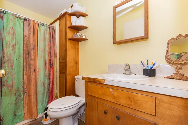 a bathroom with a sink a toilet and shower curtain