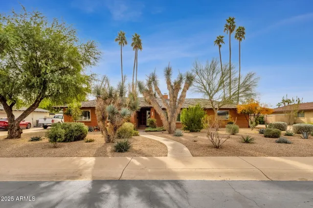 a house view with a backyard space