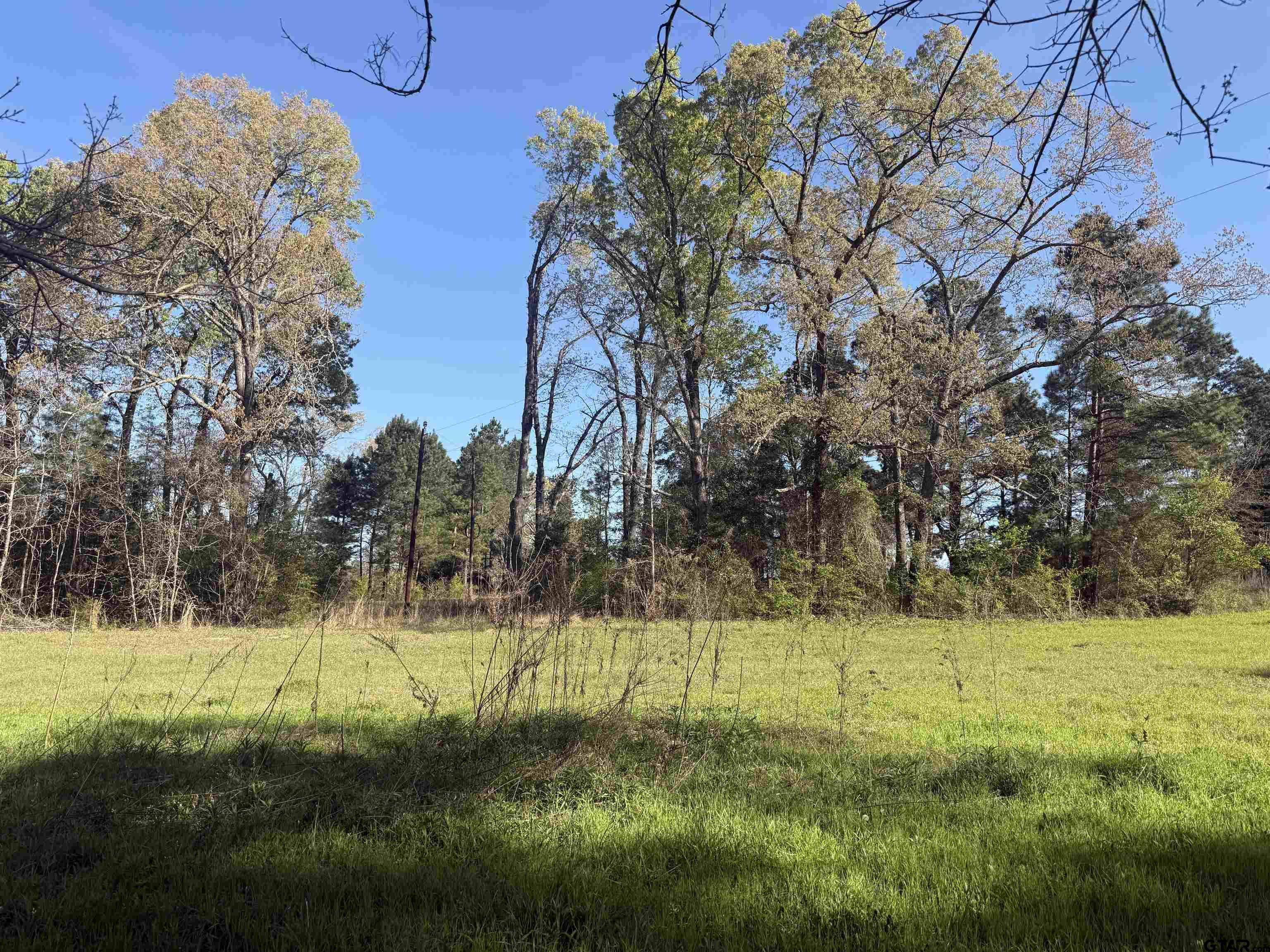 15830 Shady Creek Road Tyler, TX 75705 - Photo 13 of 18 a view of yard