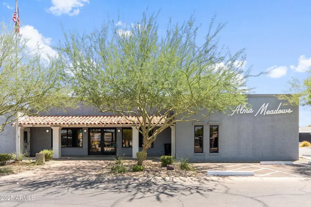 a row of palm trees and a yard