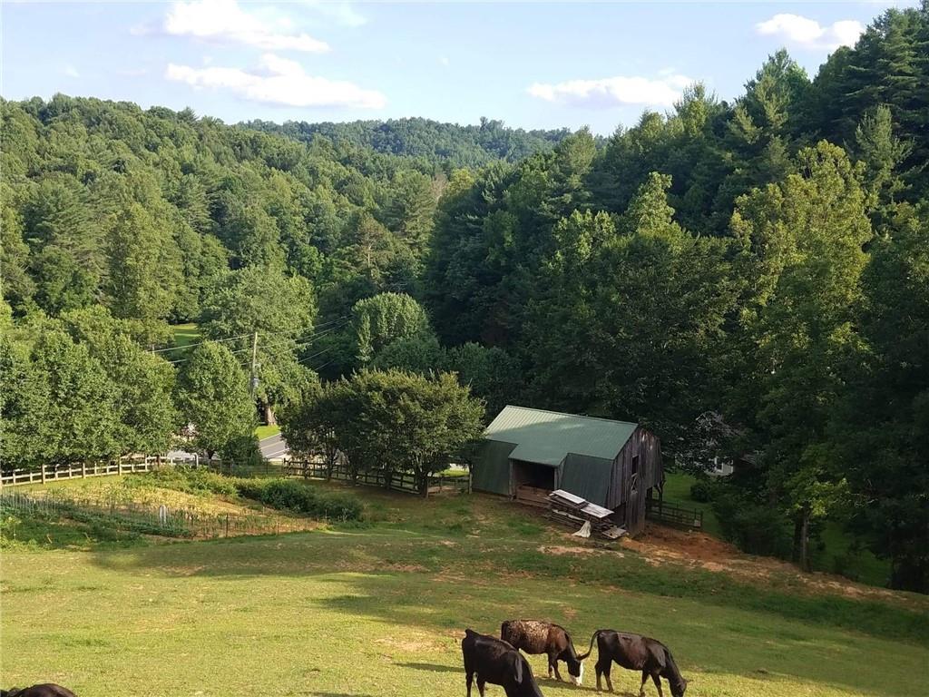 2600 Setzer Creek Road Lenoir, NC 28645 - Photo 30 of 35 Gallery Image 30
