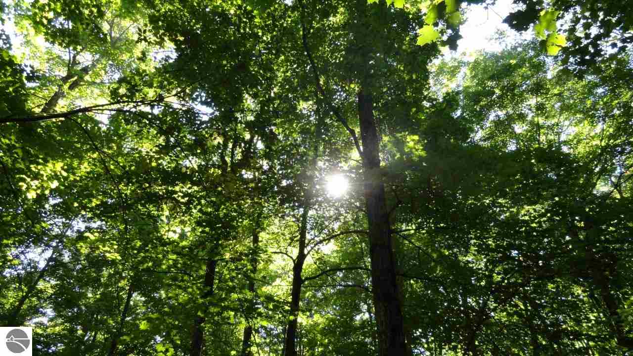 5567 Goshawk Ridge Traverse City, MI 49684 - Photo 1 of 9 1776714.JPG