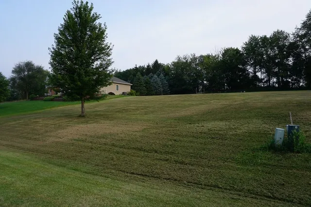 a view of a field with trees in the background