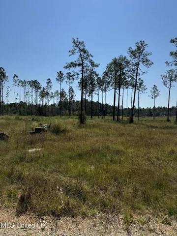 $60,000 | 0 Dantzler Road, Vancleave, MS 39565