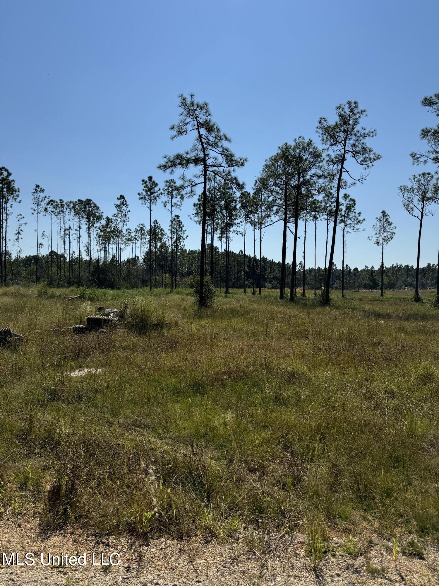 0 Dantzler Road Vancleave, MS 39565 - Photo 2 of 3 IMG_2249