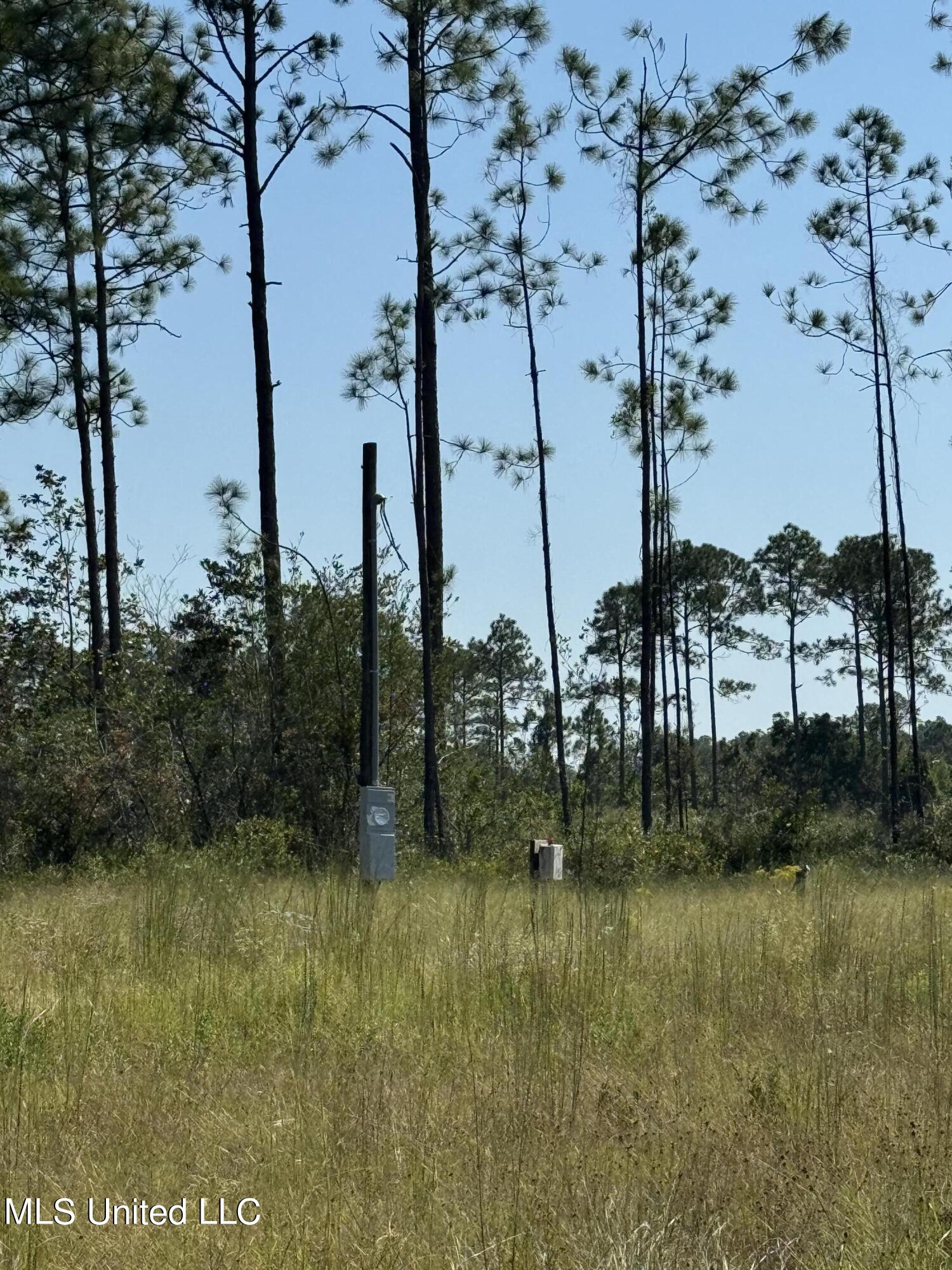 0 Dantzler Road Vancleave, MS 39565 - Photo 3 of 3 IMG_2252