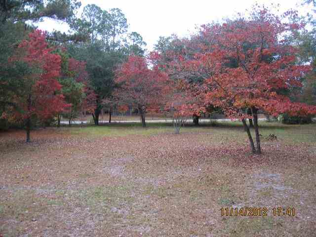 205 Apache Road Georgetown, SC 29440 - Photo 5 of 12 Gallery Image 5