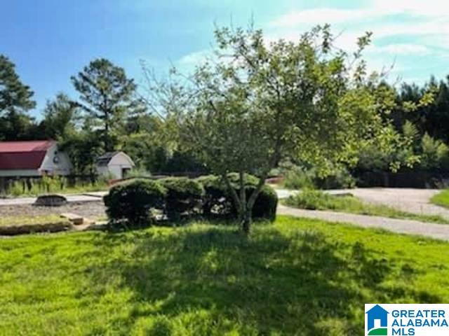 1801 Old Russellville Road Jasper, AL 35503 - Photo 14 of 17