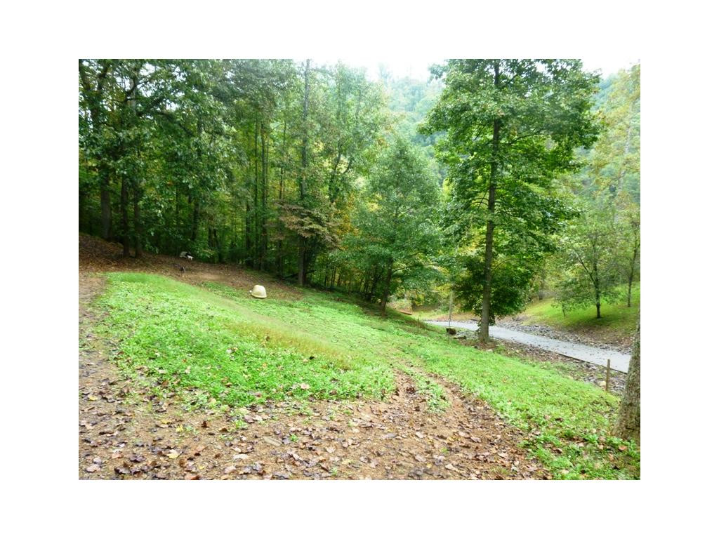 280 McClain Road Kingsport, TN 37660 - Photo 18 of 24 FRONT YARD
