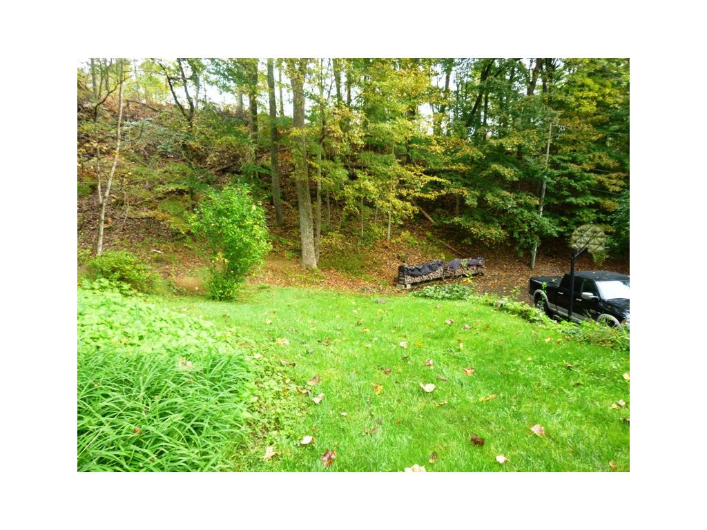 280 McClain Road Kingsport, TN 37660 - Photo 19 of 24 WOODED PRIVACY