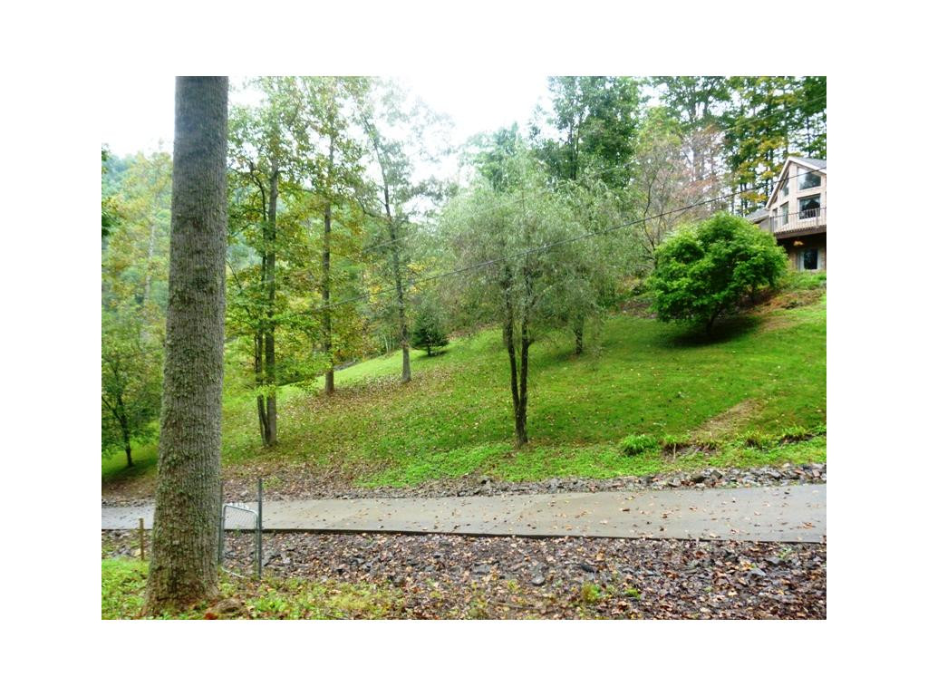 280 McClain Road Kingsport, TN 37660 - Photo 20 of 24 BEAUTIFUL SCENERY