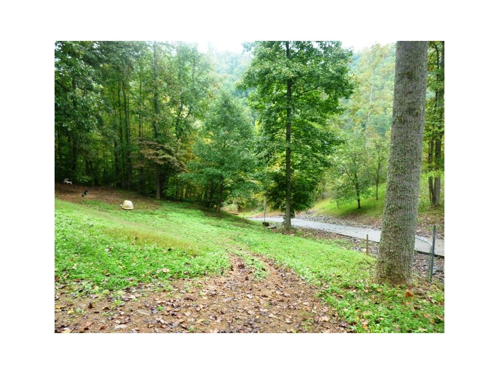 280 McClain Road Kingsport, TN 37660 - Photo 21 of 24 ANOTHER VIEW OF FRONT YARD