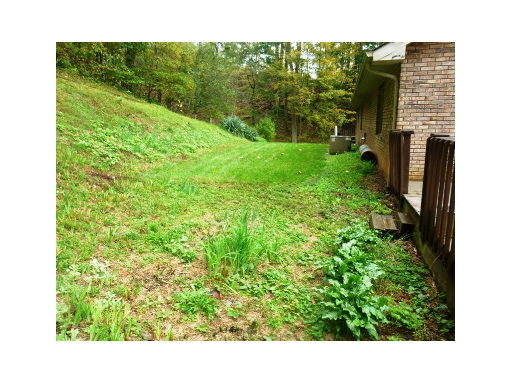 280 McClain Road Kingsport, TN 37660 - Photo 22 of 24 BACK YARD
