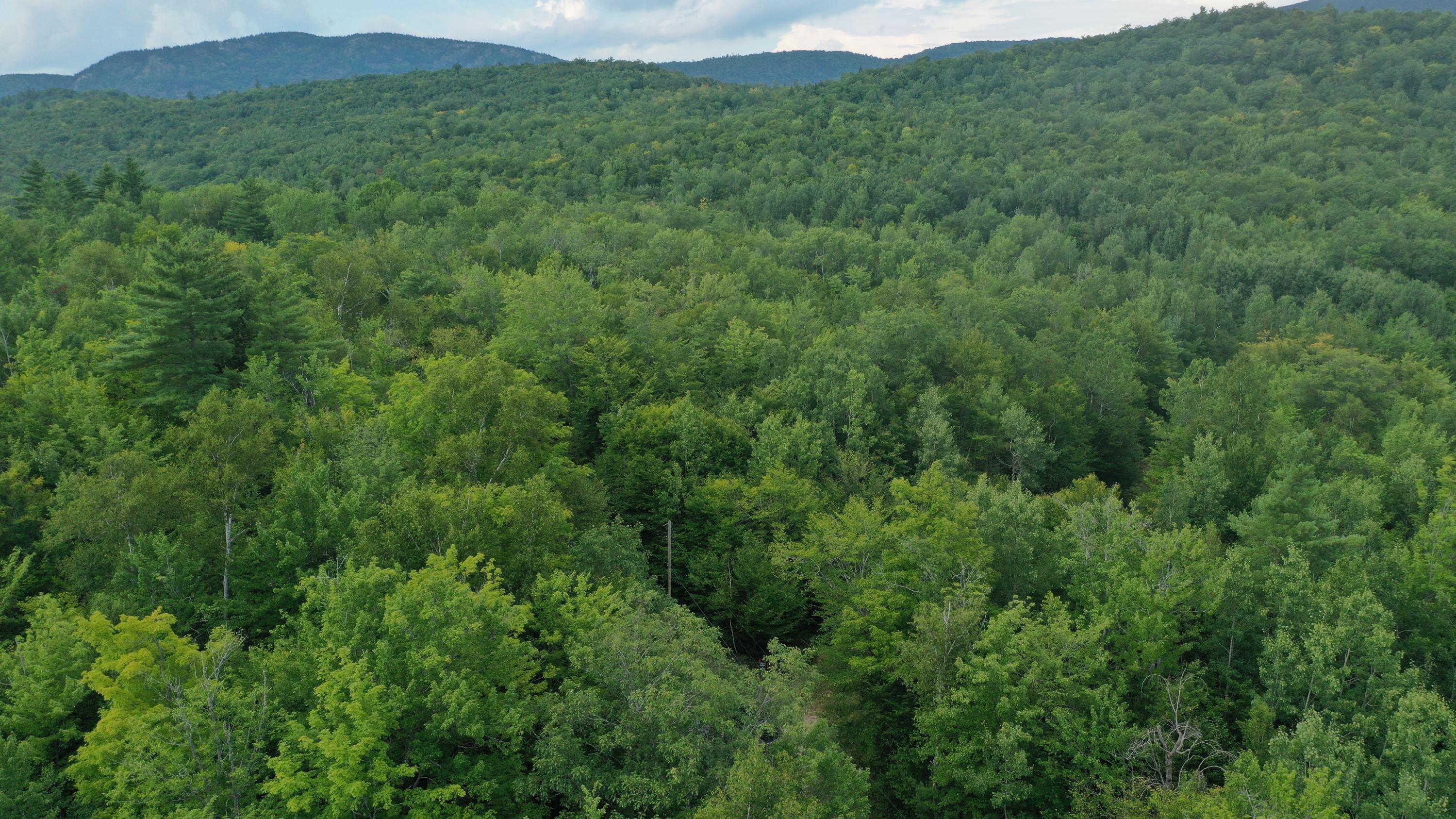 377 B Redding Road Sumner, ME 04292 - Photo 15 of 31 DJI_0867