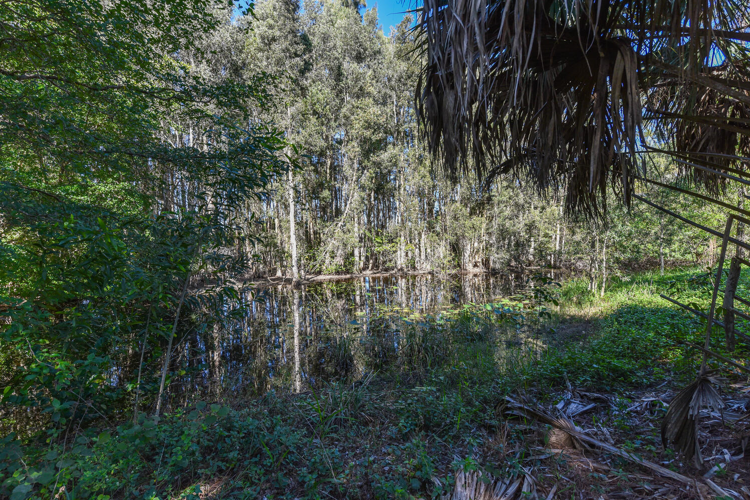 12843 Kazee Road Loxahatchee Groves, FL 33470 - Photo 37 of 40 12843 Kazee Rd Loxahatchee FL-large-042-