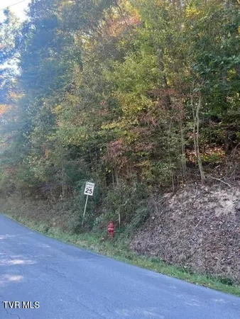 $24,900 | 0 Cave Springs Road, Unit 9, Pennington Gap, VA 24277