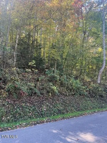 $29,900 | 0 Cave Springs Road, Unit 9, Pennington Gap, VA 24277