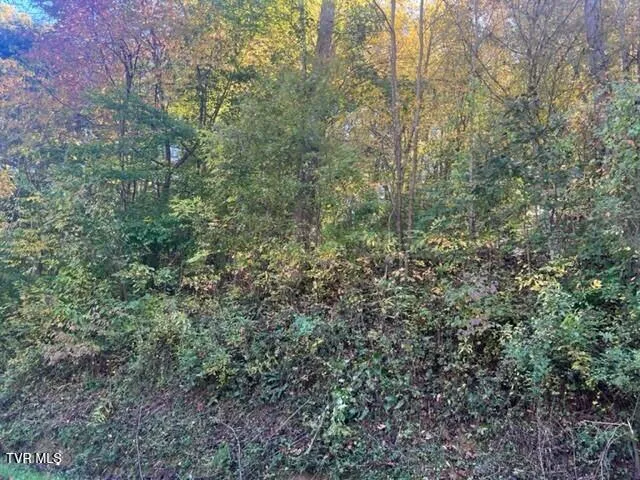 $29,900 | 0 Cave Springs Road, Unit 9, Pennington Gap, VA 24277