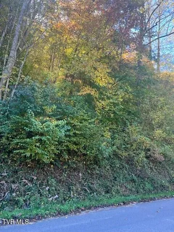 $29,900 | 0 Cave Springs Road, Unit 9, Pennington Gap, VA 24277