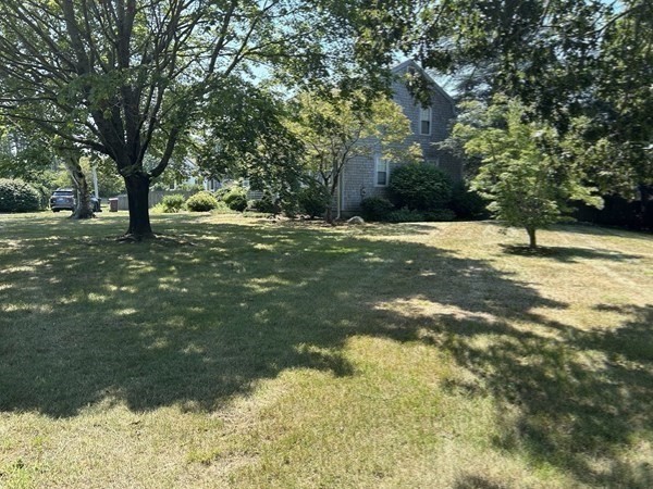 273 Main Street Acushnet, MA 02743 - Photo 37 of 37 a view of a trees with a yard