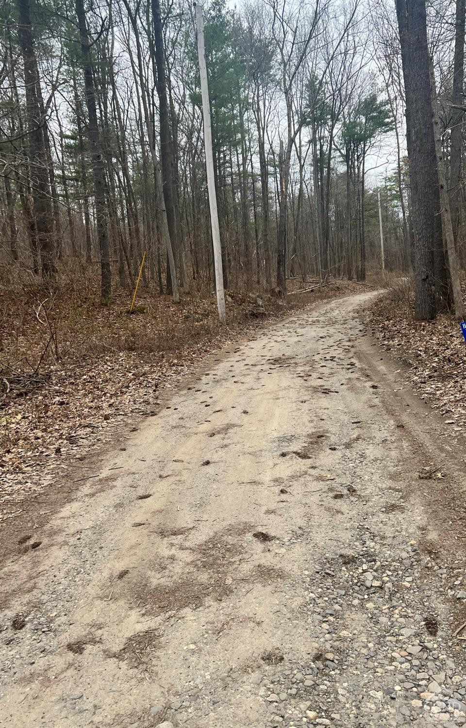 0 Limekiln Road Catskill, NY 12414 - Photo 8 of 8 private road