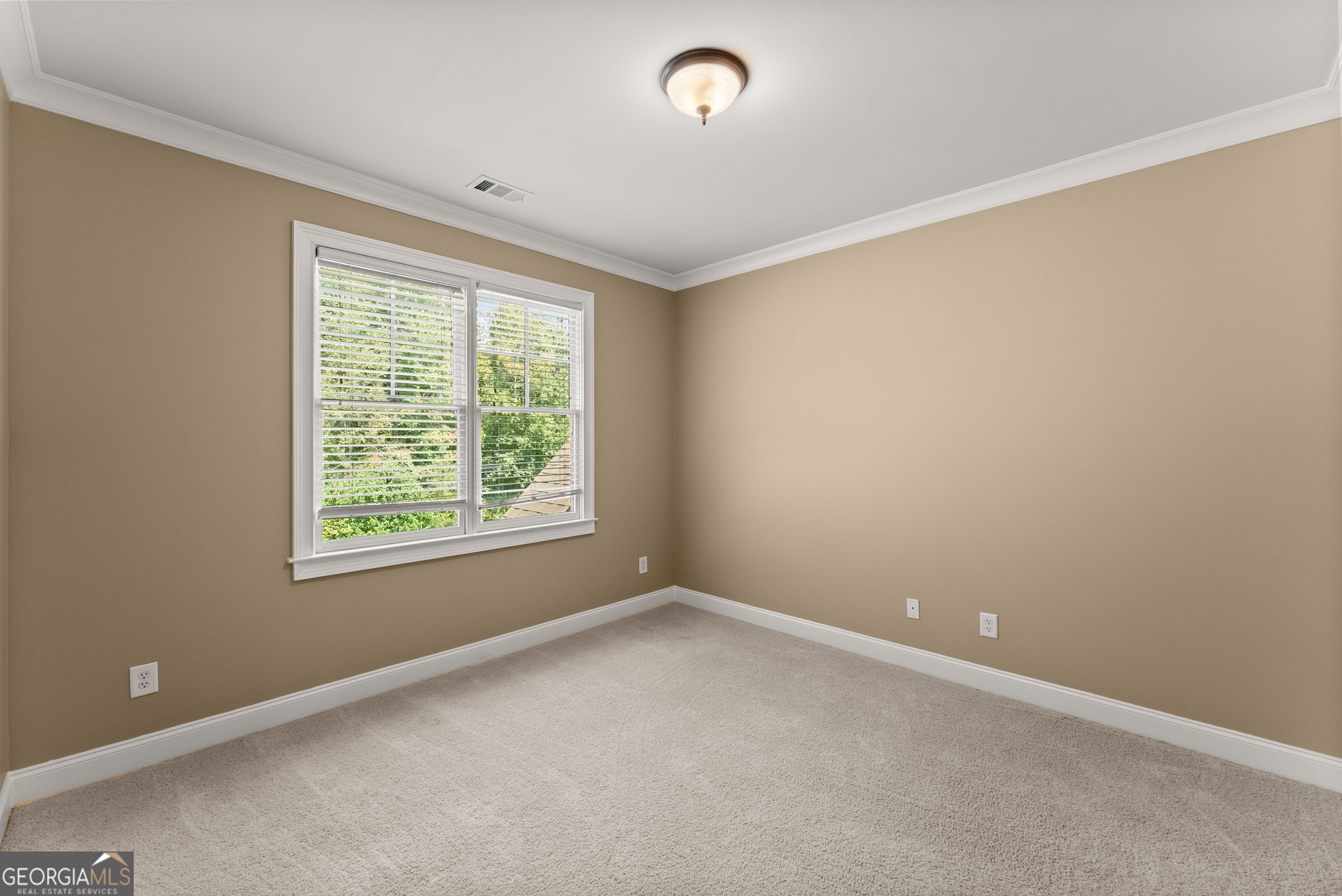 492 Jonney Thomas Road Cleveland, GA 30528 - Photo 59 of 90 Gallery Image 59