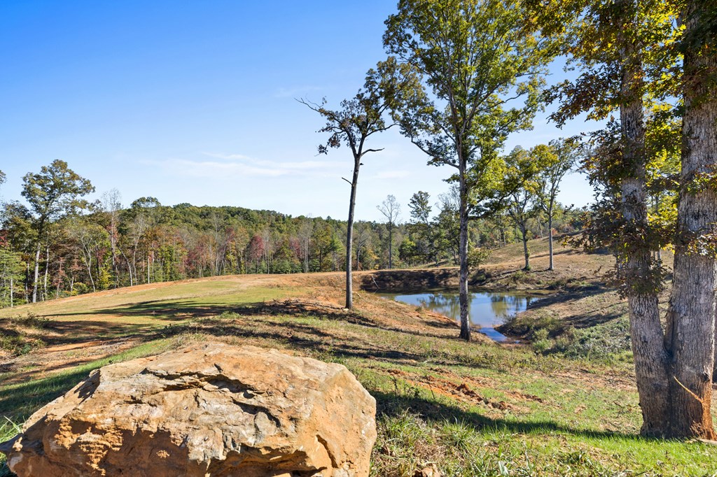 324 Briar Wds Lane Blue Ridge, GA 30513 - Photo 3 of 61