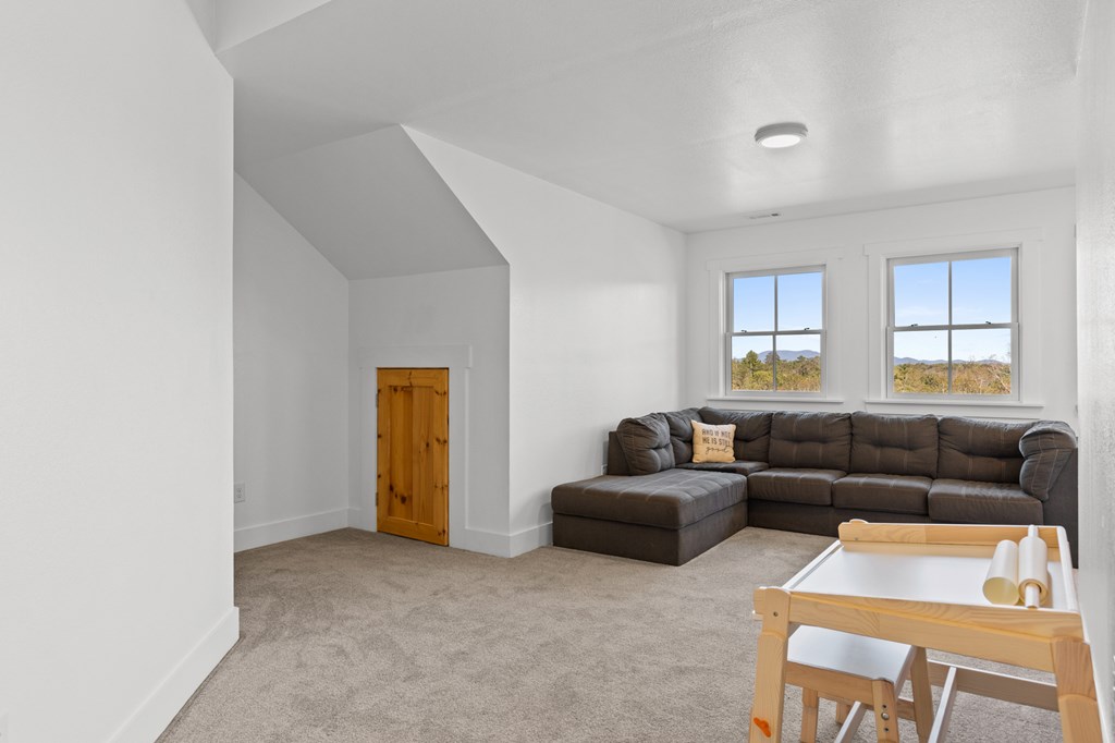 324 Briar Wds Lane Blue Ridge, GA 30513 - Photo 33 of 61