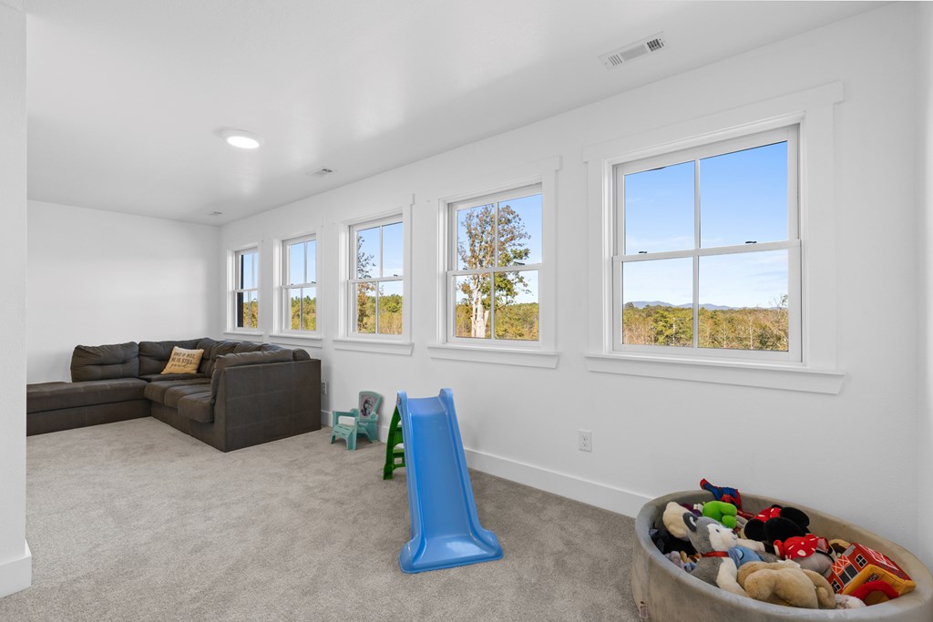 324 Briar Wds Lane Blue Ridge, GA 30513 - Photo 35 of 61