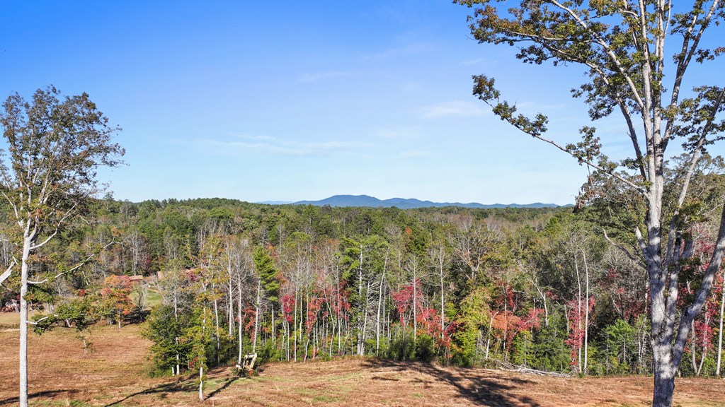 324 Briar Wds Lane Blue Ridge, GA 30513 - Photo 43 of 61