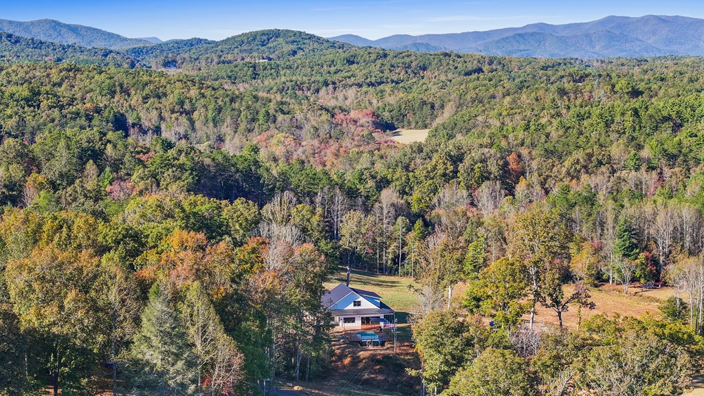 324 Briar Wds Lane Blue Ridge, GA 30513 - Photo 49 of 61