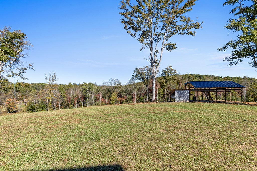 324 Briar Wds Lane Blue Ridge, GA 30513 - Photo 54 of 61