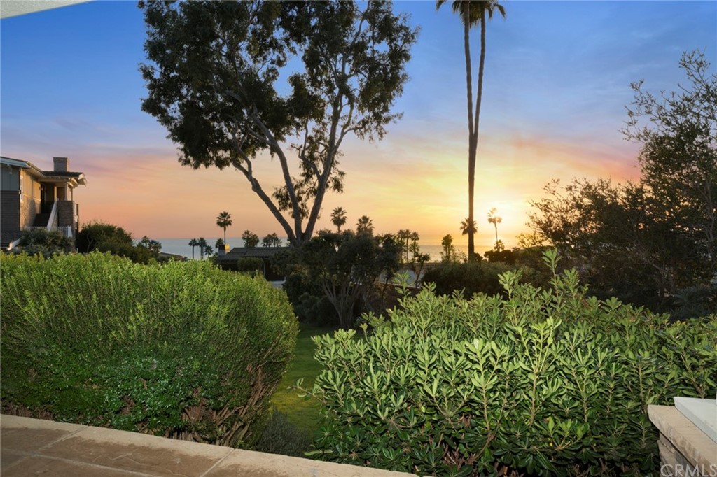 3 Stickley Drive Laguna Beach, CA 92651 - Photo 32 of 39 a view of a tree with a park