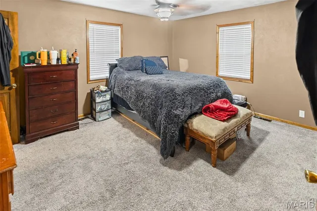 $250,000 | 113 Orchard Drive, Belleville, IL 62221