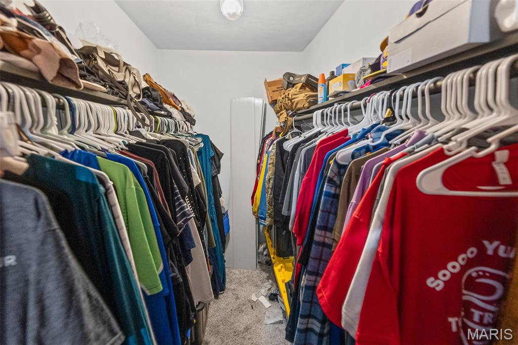 113 Orchard Drive Belleville, IL 62221 - Photo 24 of 50