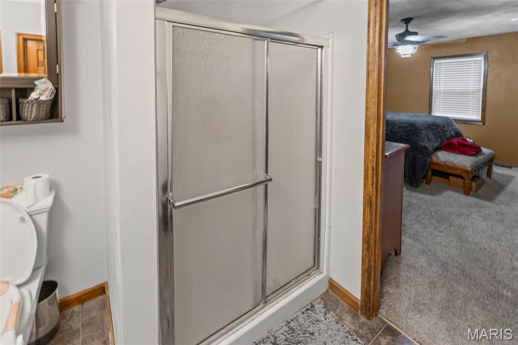 113 Orchard Drive Belleville, IL 62221 - Photo 26 of 50