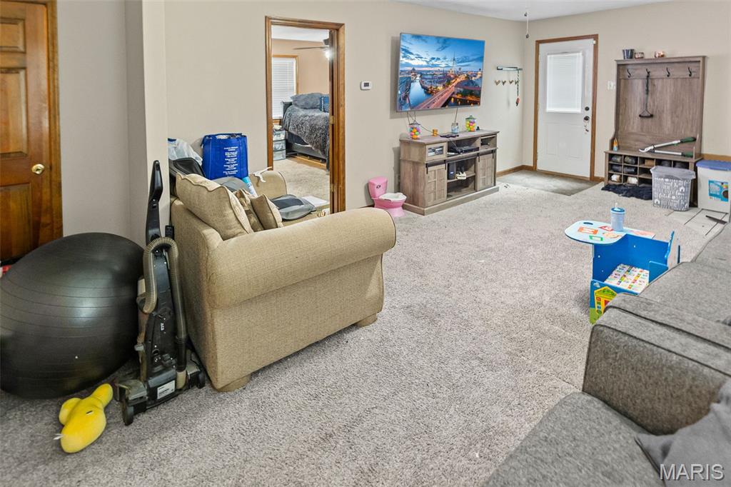 113 Orchard Drive Belleville, IL 62221 - Photo 28 of 50