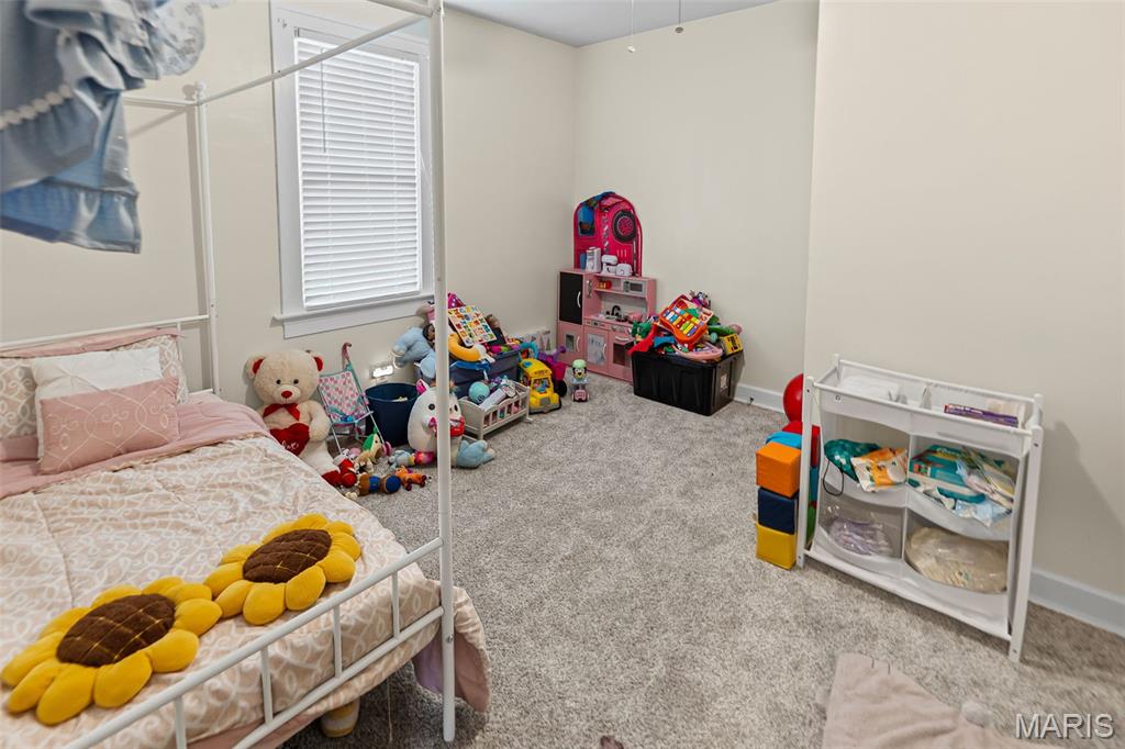 113 Orchard Drive Belleville, IL 62221 - Photo 36 of 50