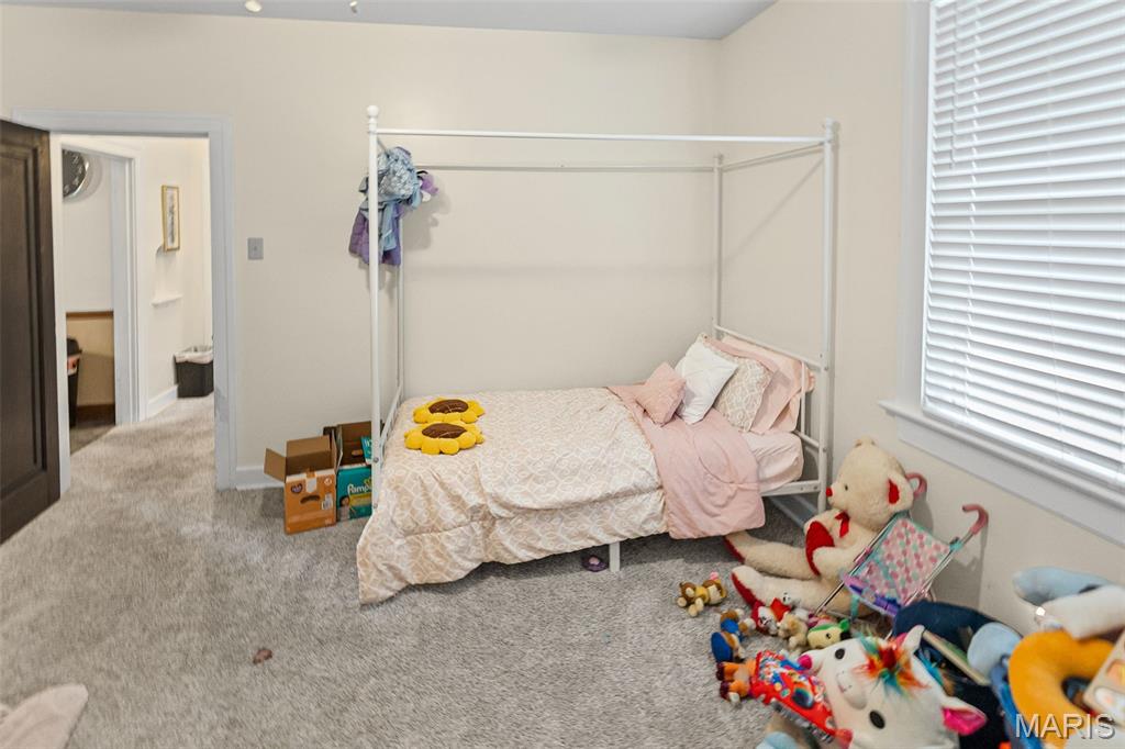 113 Orchard Drive Belleville, IL 62221 - Photo 37 of 50