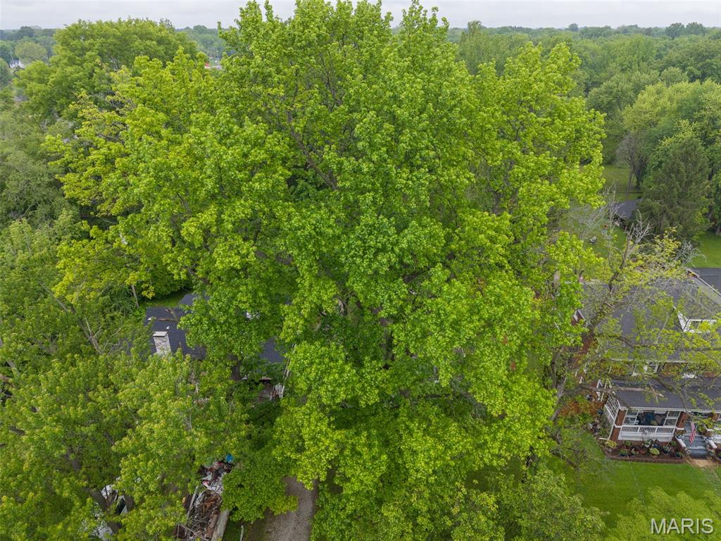 113 Orchard Drive Belleville, IL 62221 - Photo 39 of 50