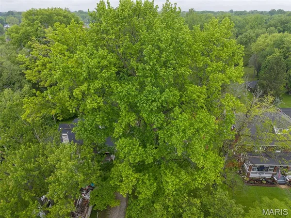 $247,500 | 113 Orchard Drive, Belleville, IL 62221