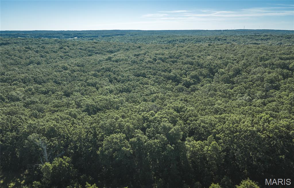 9.93-acres State Rte B St. James, MO 65559 - Photo 4 of 17
