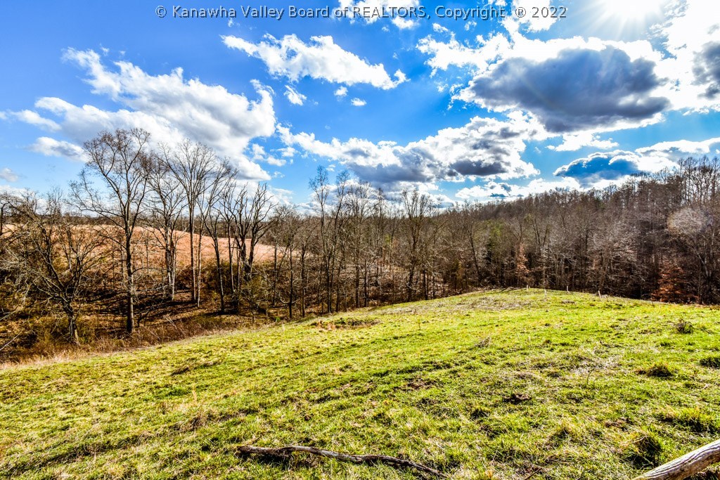1125 Jones Ridge Road Gandeeville, WV 25243 - Photo 17 of 30 Gallery Image 17