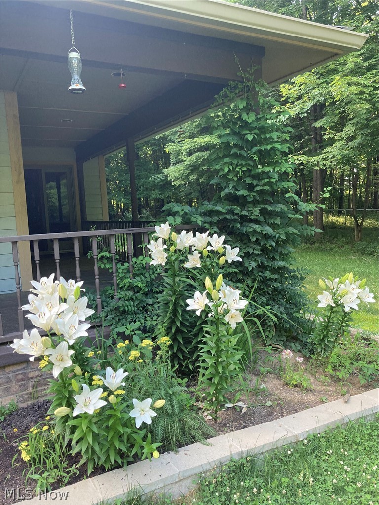8716 Tippecanoe Road Canfield, OH 44406 - Photo 29 of 35 Gallery Image 29