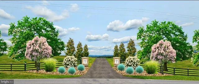 a view of a flower in a yard