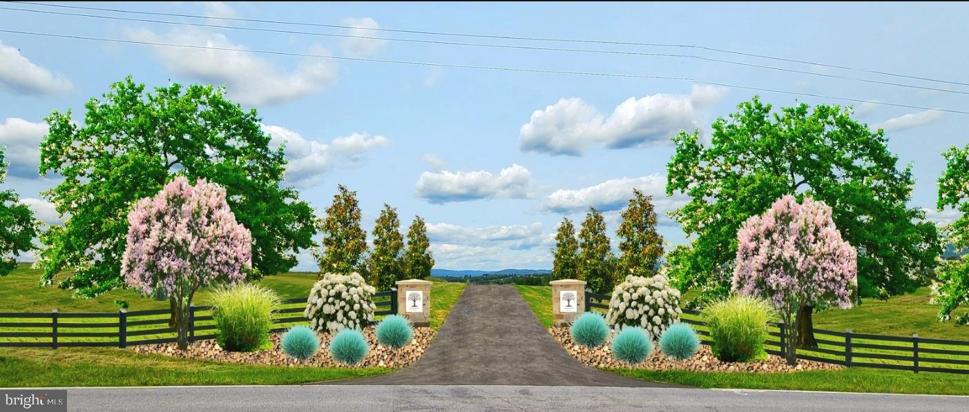 7452 Heritage Oak Terrace Middletown, MD 21769 - Photo 6 of 11 a view of a flower in a yard