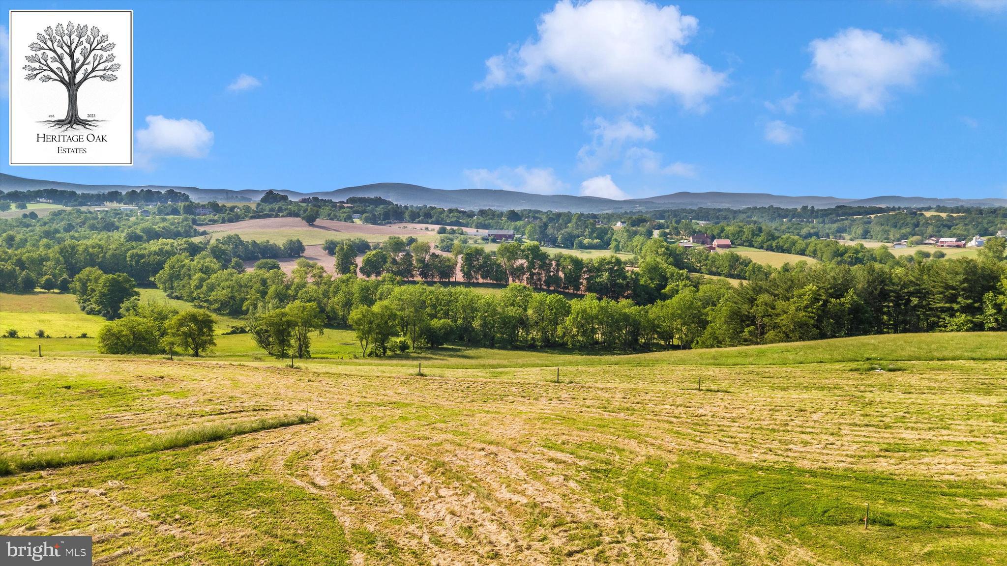 7452 Heritage Oak Terrace Middletown, MD 21769 - Photo 8 of 11 a view of a city