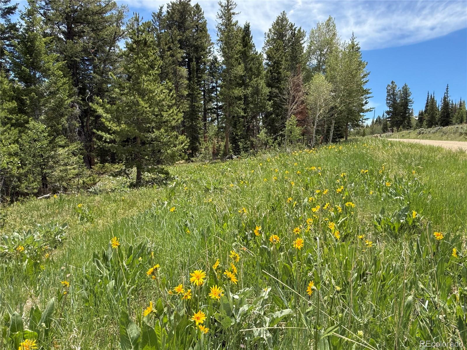 Spring Creek Ranch Road Silverthorne, CO 80498 - Photo 14 of 38