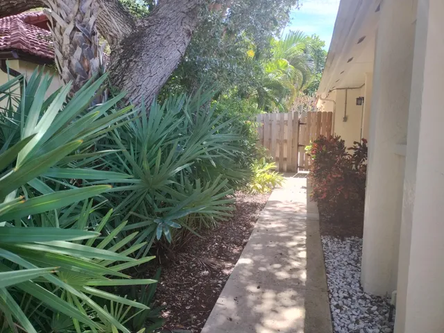 a view of a yard with plants