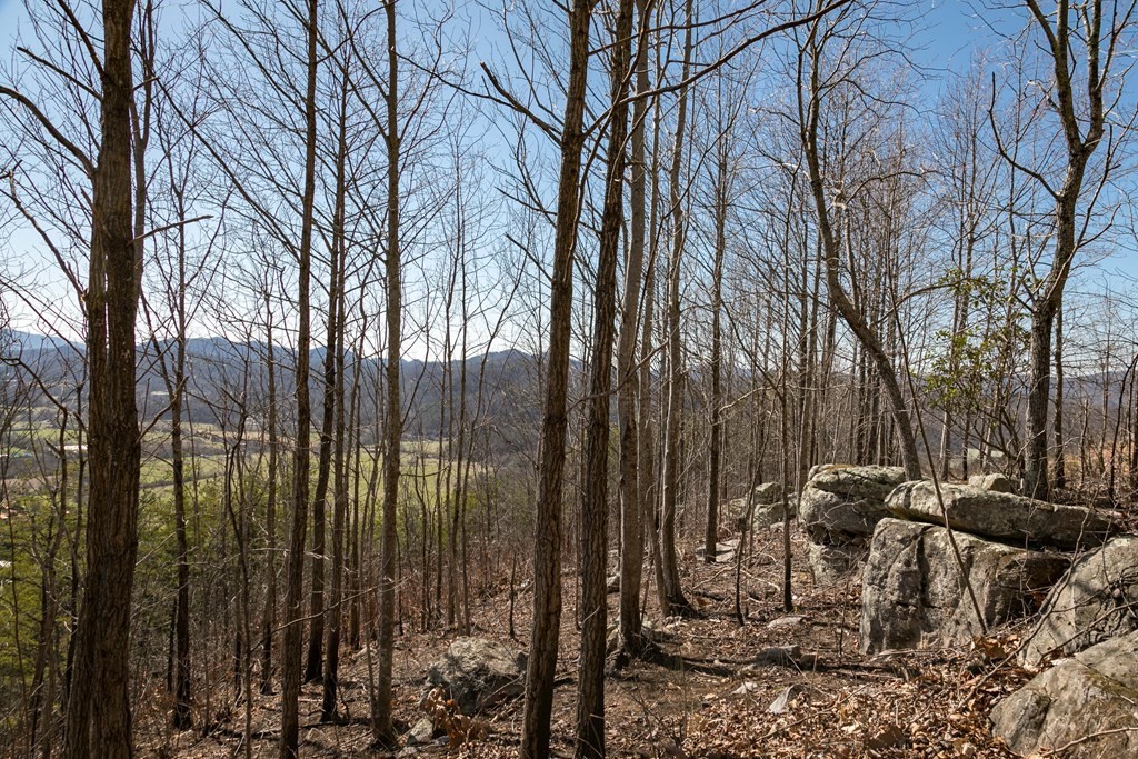 2 Which A Way Sevierville, TN 37862 - Photo 14 of 22